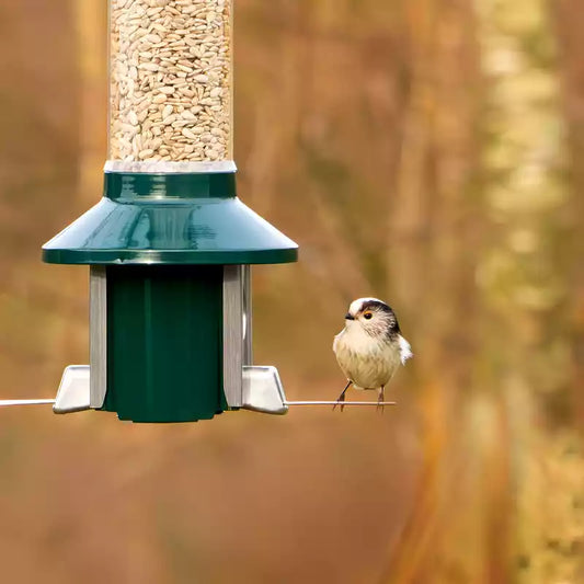 GuardBird - Un refugio para las aves en tu jardín