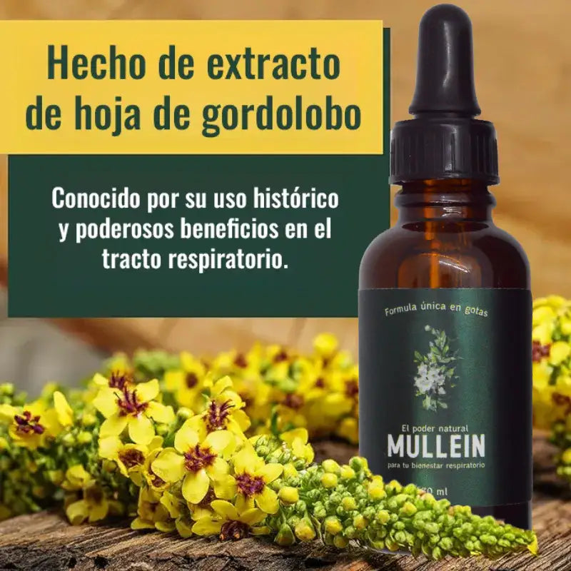 Mullein - El poder natural para tu bienestar respiratorio.