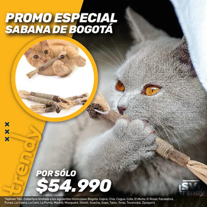 GatoMastic - Promo única para Sabana Bogotá